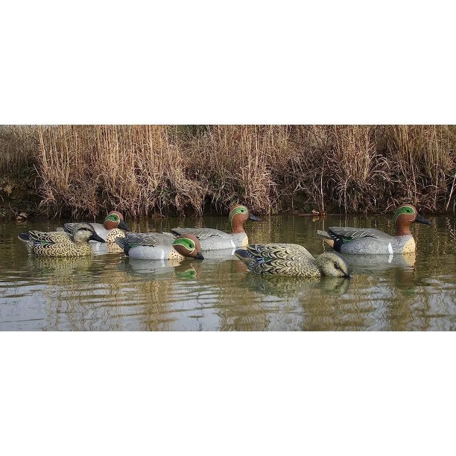Higdon Outdoors Standard Green Wing Teal Duck Decoys Foam-Filled