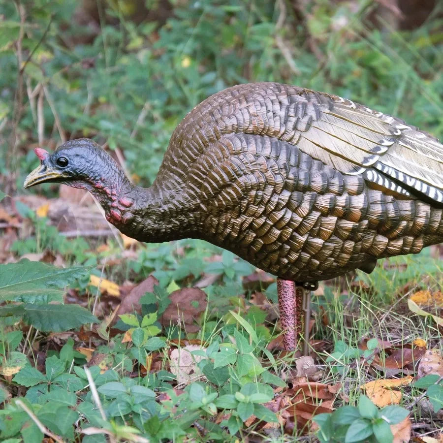 Higdon Outdoors Hard Body Hen Turkey Decoy Light Weight and Durable Full Body Decoy for Turkey Hunting Convenient Carry Bag and