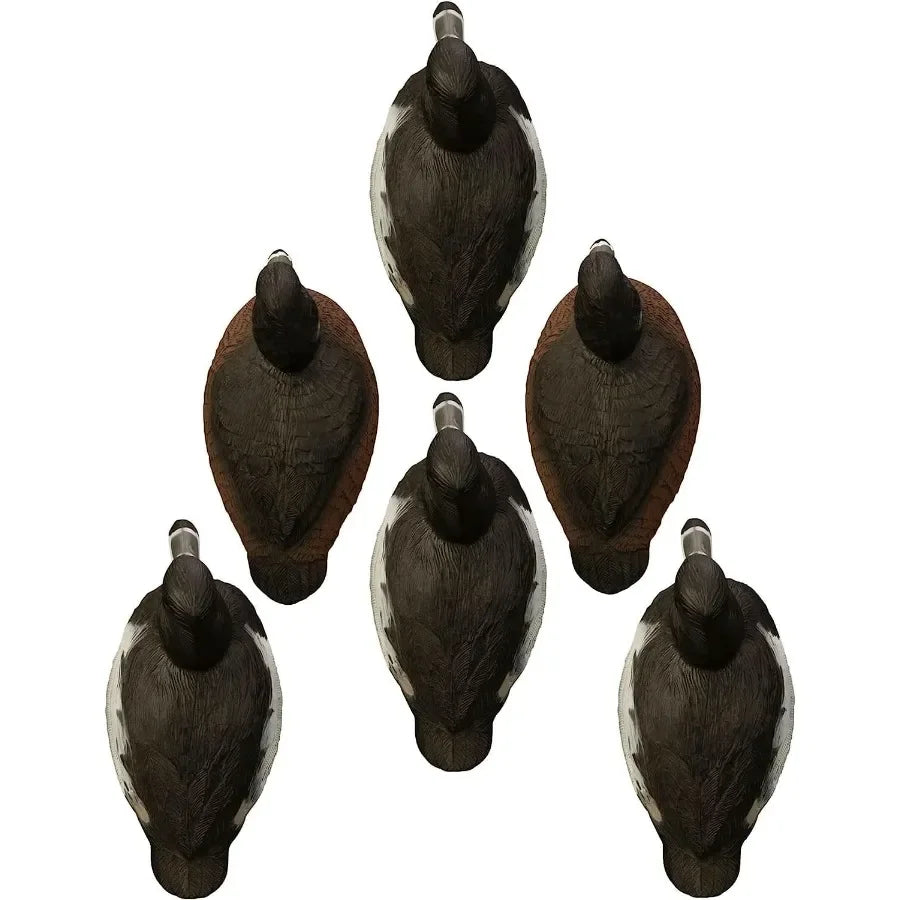 Higdon Outdoors Standard Ringneck Duck Decoys Foam-Filled