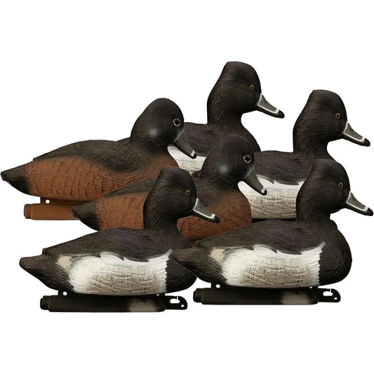 Higdon Outdoors Standard Ringneck Duck Decoys Foam-Filled