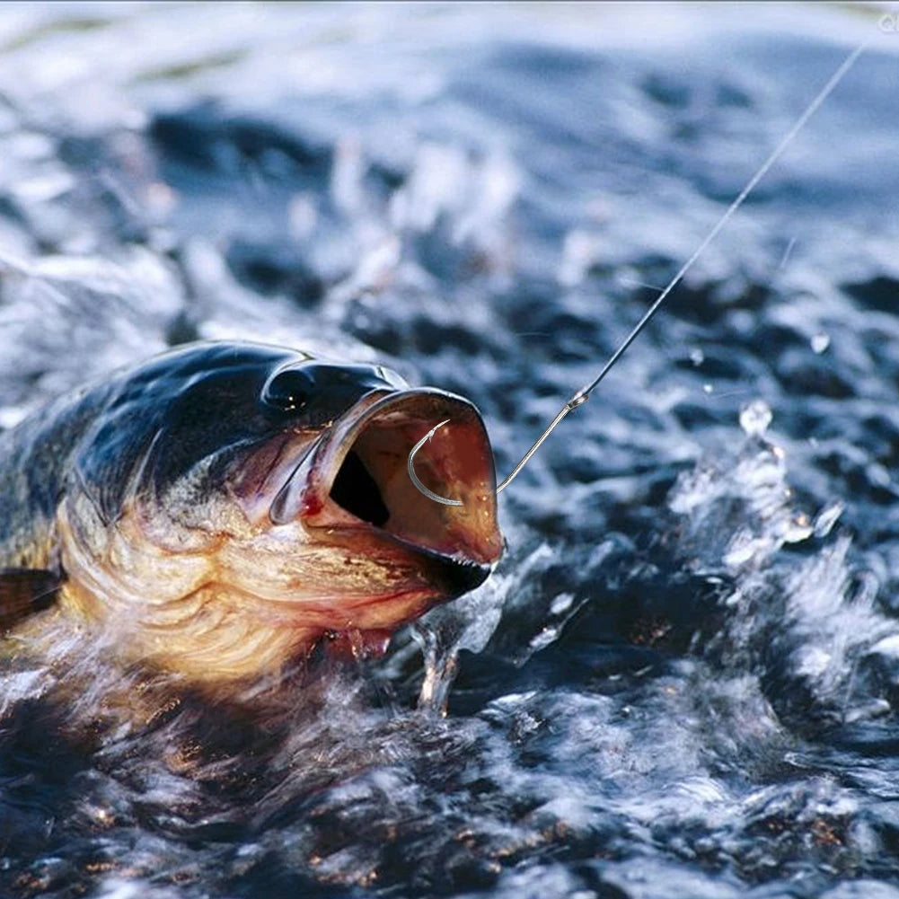 80Pcs Fishing Hooks Stainless Steel Fish Hooks Saltwater Fishing Barbed Hooks Fishing Accessories