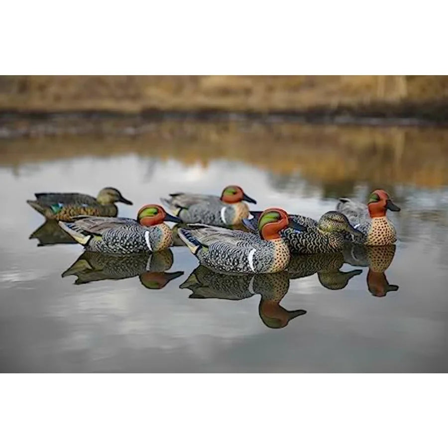 Green Wing Teal Duck Decoys by Heyday Ultra-Light 100% HydroFoam Durable Realistic Design 6 Pack of Duck Hunting Decoys