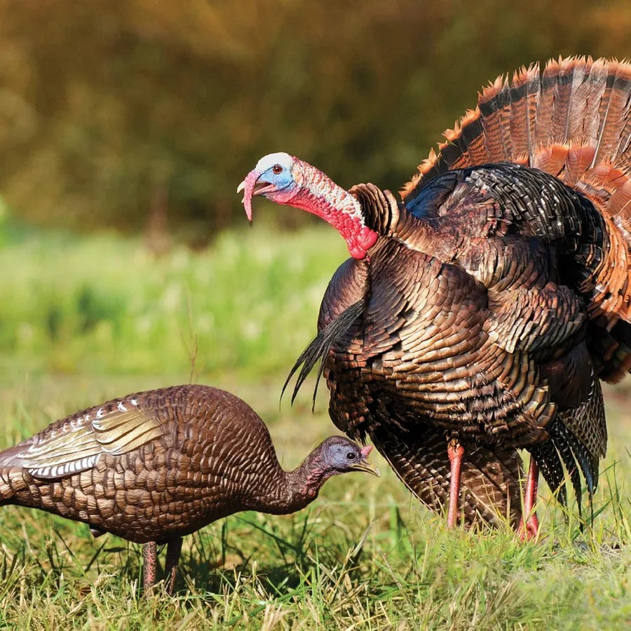 Higdon Outdoors Hard Body Hen Turkey Decoy Light Weight and Durable Full Body Decoy for Turkey Hunting Convenient Carry Bag and