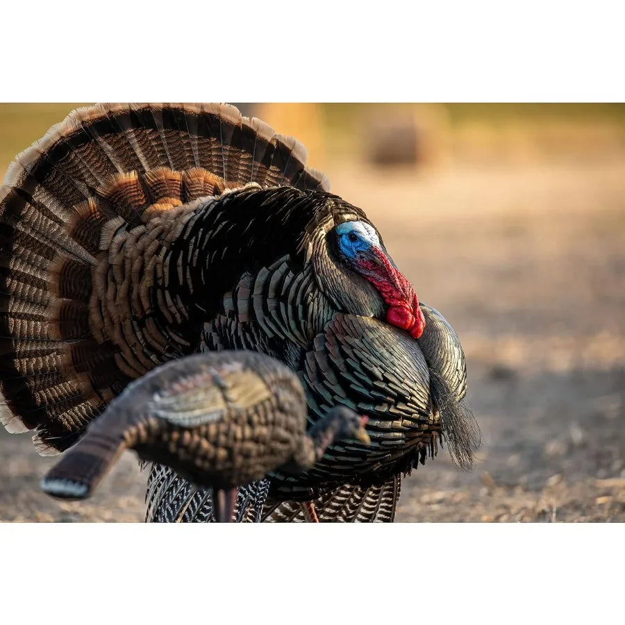 Higdon Outdoors Hard Body Hen Turkey Decoy Light Weight and Durable Full Body Decoy for Turkey Hunting Convenient Carry Bag and