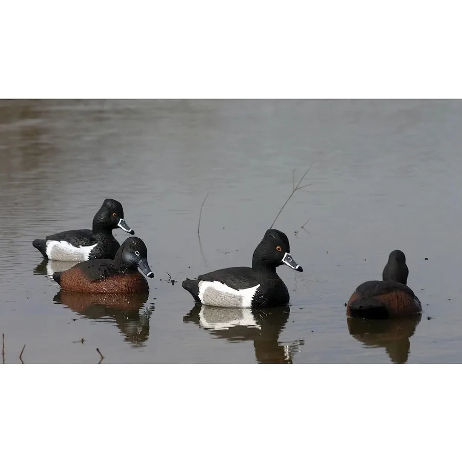 Higdon Outdoors Standard Ringneck Duck Decoys Foam-Filled