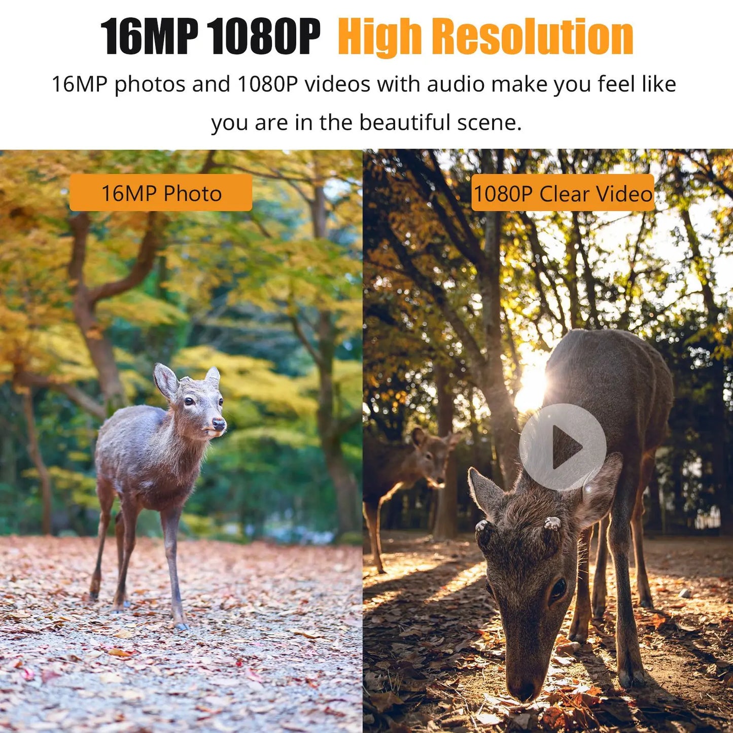 Wildlife camera 1080P Hunting Camera 2.0in LCD 16MP Infrared Night Vision Mobile Monitoring IP66 Waterproof Trail Camera