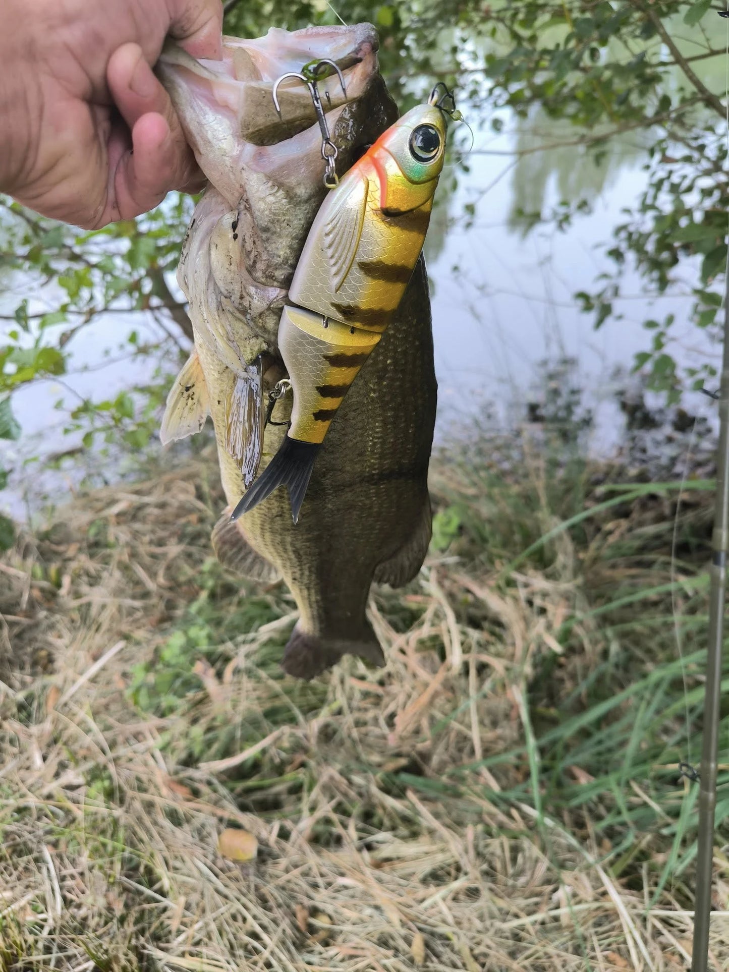 Noeby Amata Glide Swimbait Soft Lure 215mm 73g Slow Sinking Silicone Wobblers for Pike Bass Shad Glide Swimbait Fishing Lures